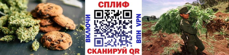 где купить наркотик  Мурино  Еда ТГК конопля 
