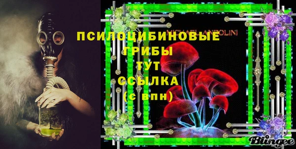 сатива Богданович