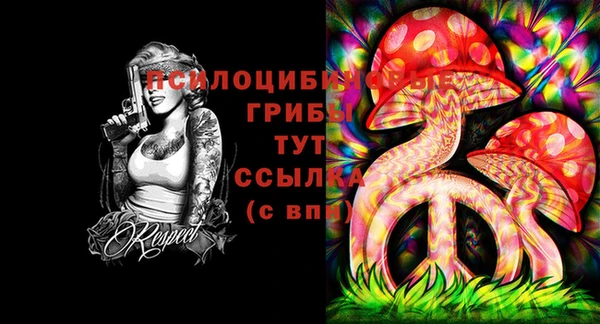 метадон Бородино