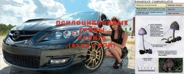 метадон Бородино