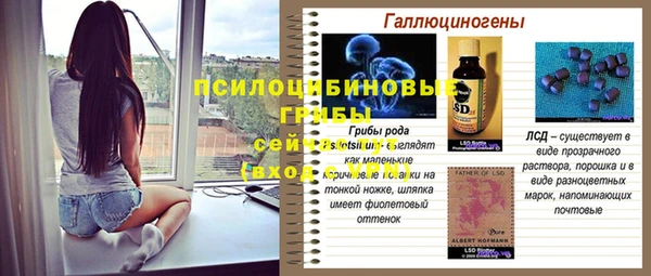 сатива Богданович
