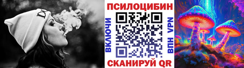 ОМГ ОМГ ТОР Мурино Псилоцибиновые грибы GOLDEN TEACHER